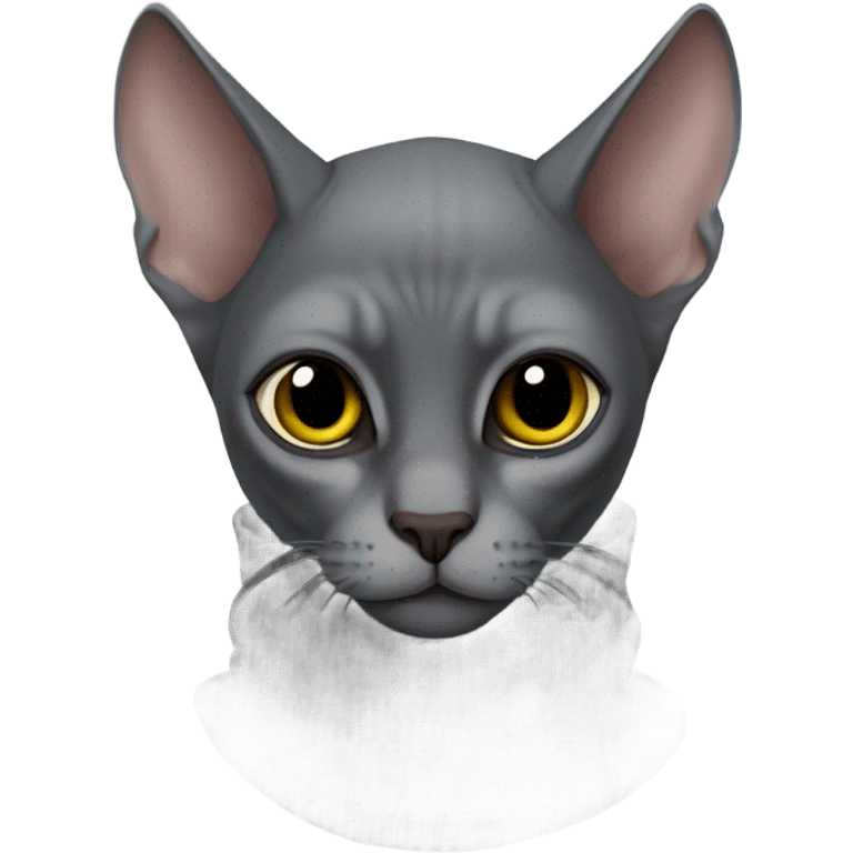 gray sphinx cat in a black balaclava emoji