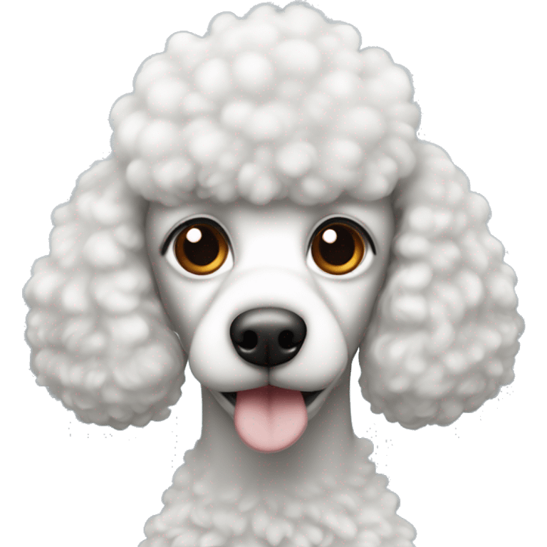 It's a poodle mixed with black and white, but the fish is black and the nose is a little white, and the forehead has a flame pattern emoji