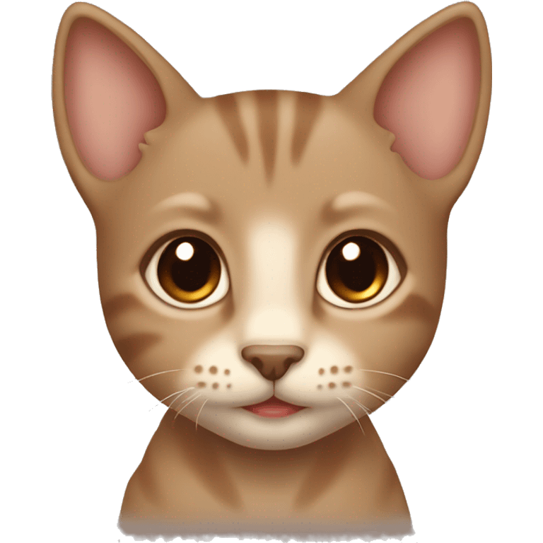 A brown little  kitten with brown eyes and beige bow neck emoji