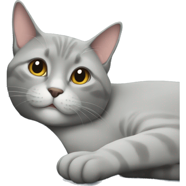 Gray cat relaxing emoji