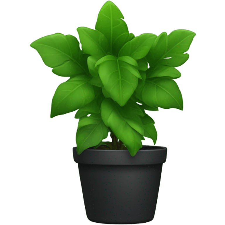 black potted plant emoji