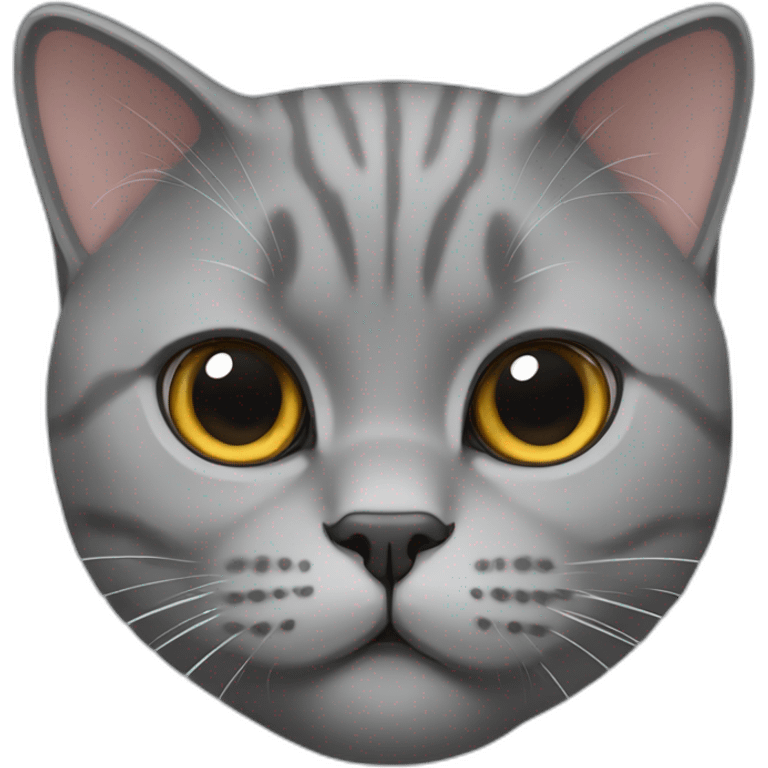 british shorthair cat emoji