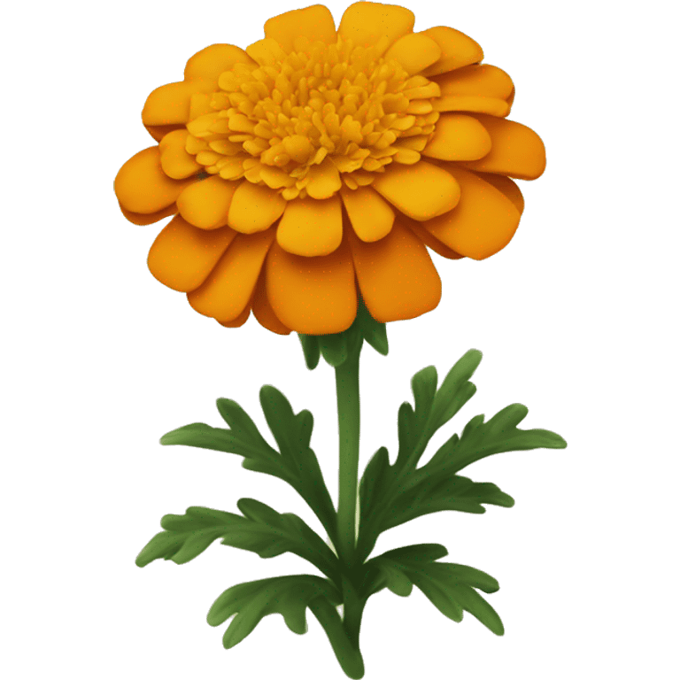 a marigold flower emoji