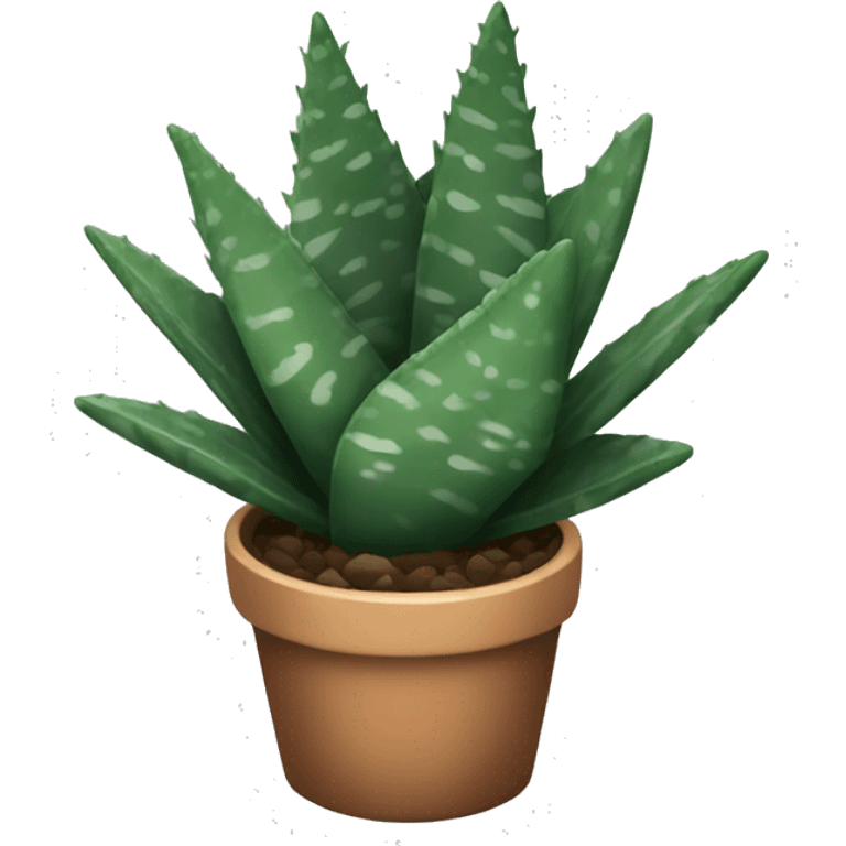 Haworthia zebra succulent  emoji