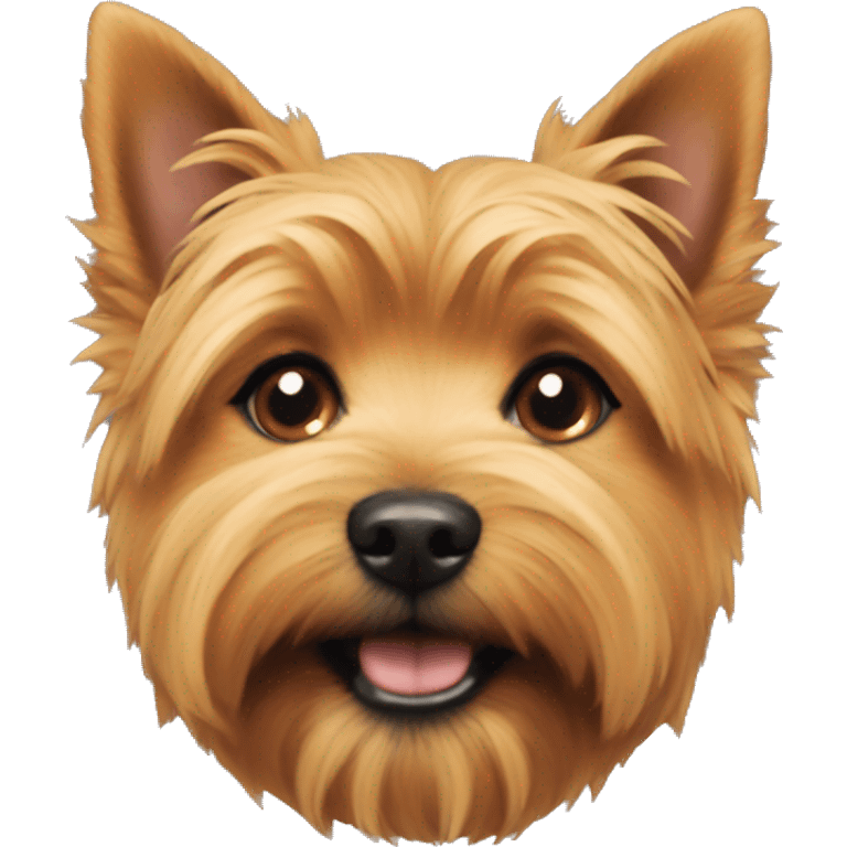 Norwich terrier  emoji