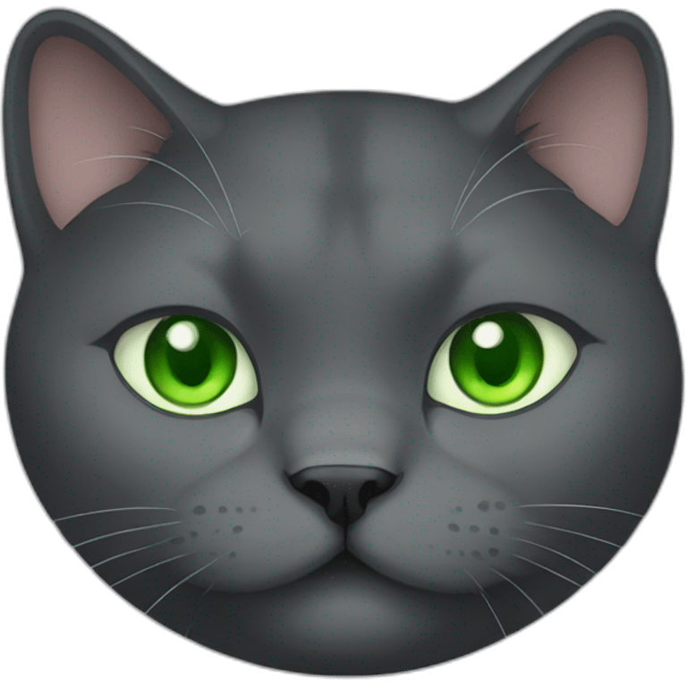 dark grey fat cat with green eyes happy emoji