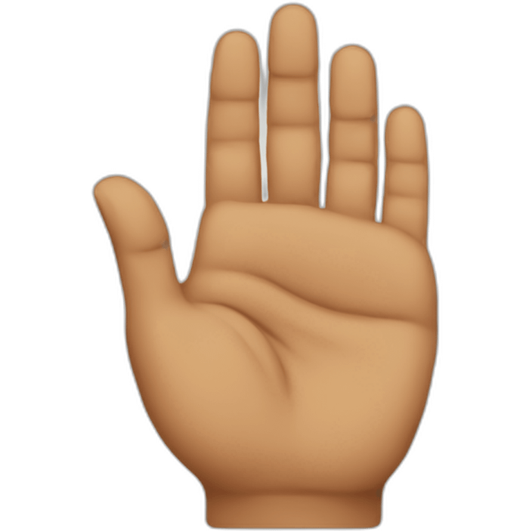 Sikh hand close emoji