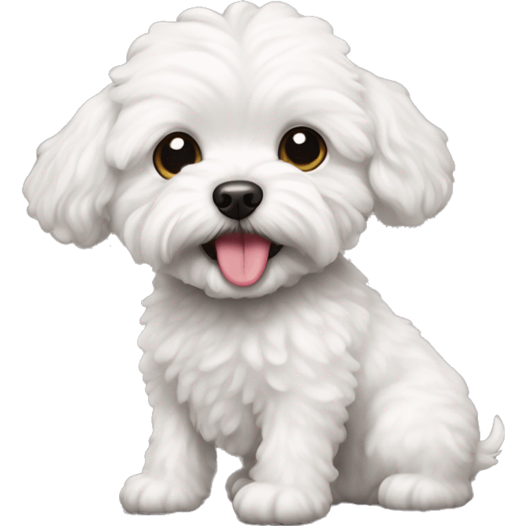 white maltipoo dog with tongue emoji