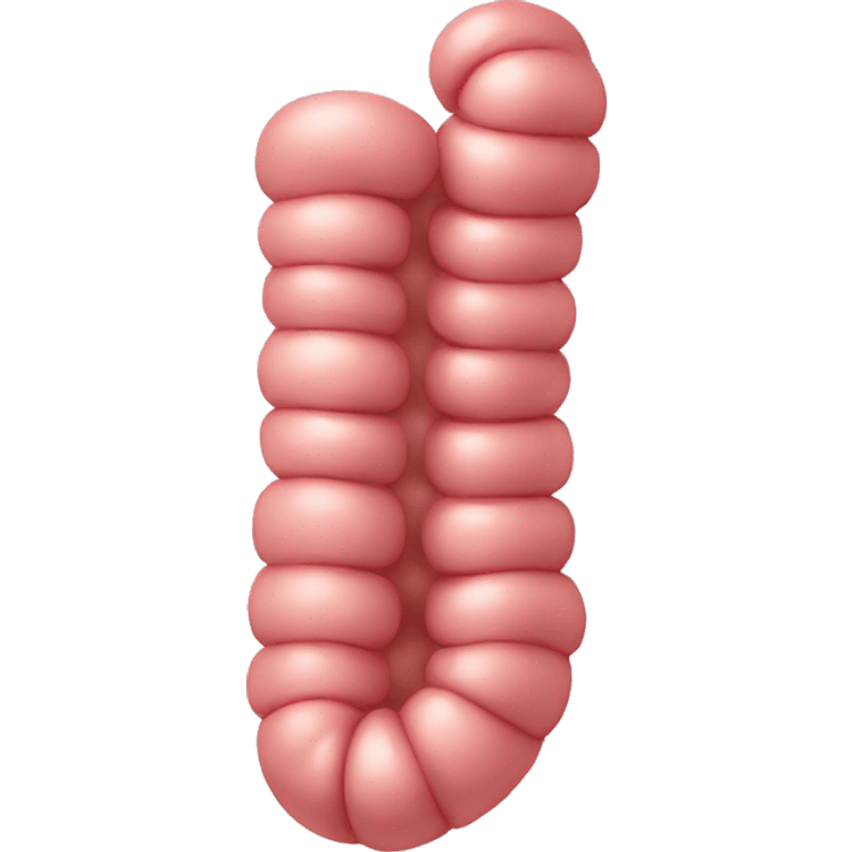 Intestine emoji