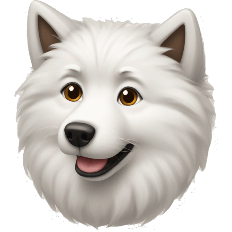 Samoyed with a raccoon emoji