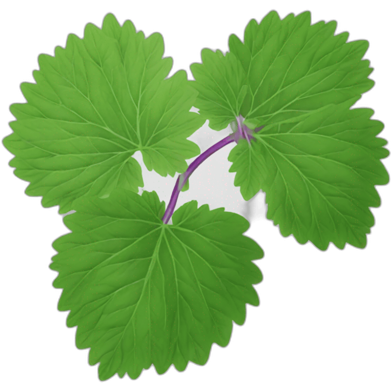 shiso emoji