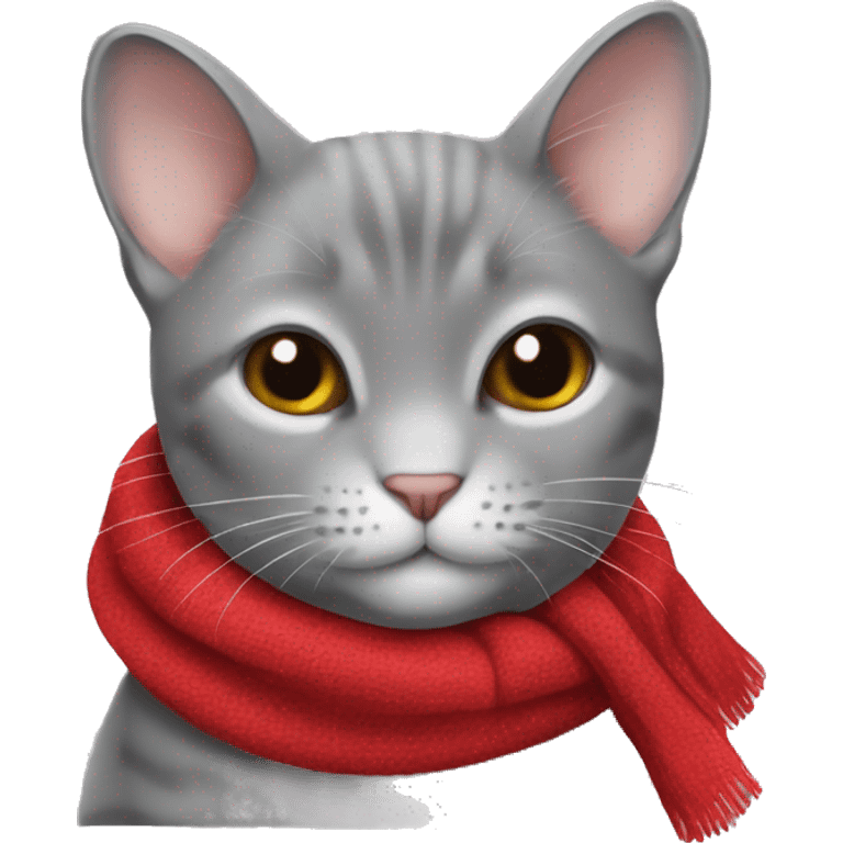 Chinchilla grey cat wearing red scarf  emoji