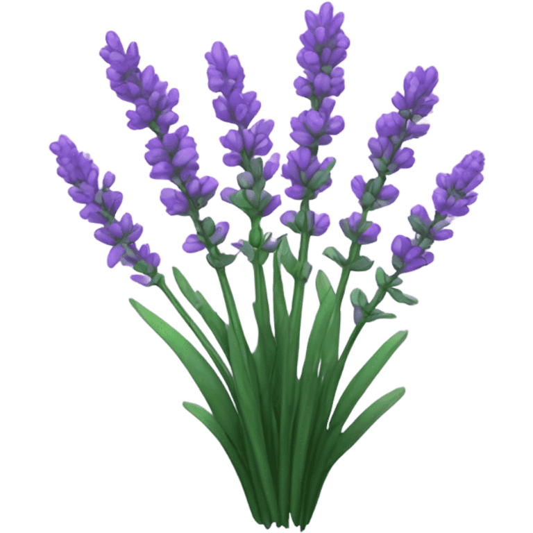 Lavender plant  emoji