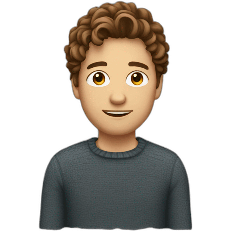 Guy with brown wavy hair and jumper emoji