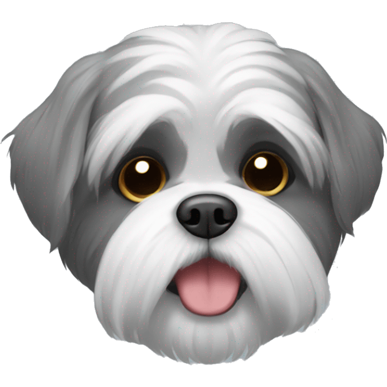 Grey shi tzu emoji