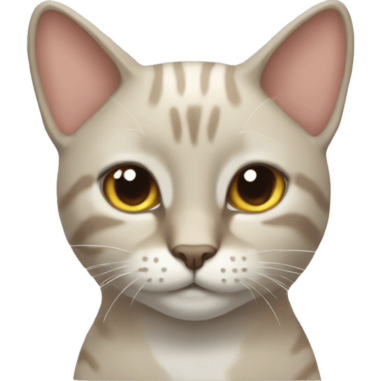 Gato emoji