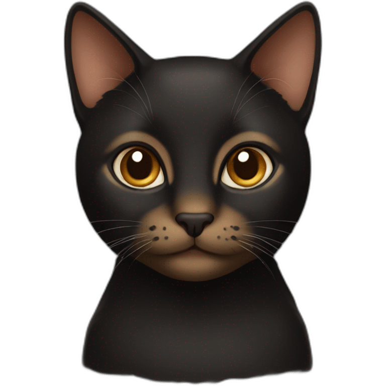 Black and brown cat emoji