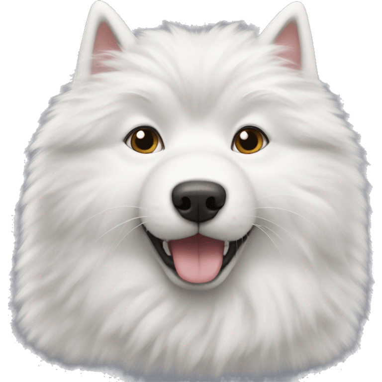 Samoyed with a fluffy grey cat emoji