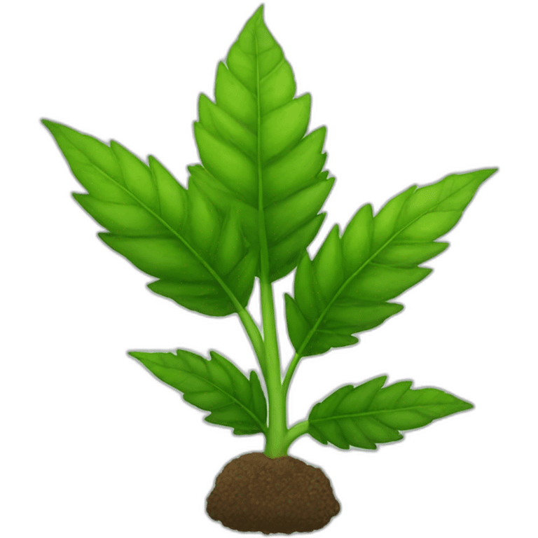 Planta de mariguana  emoji