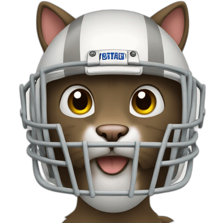 cat football emoji