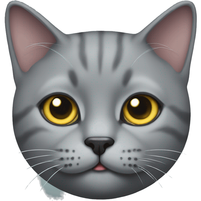 British grey cat  emoji