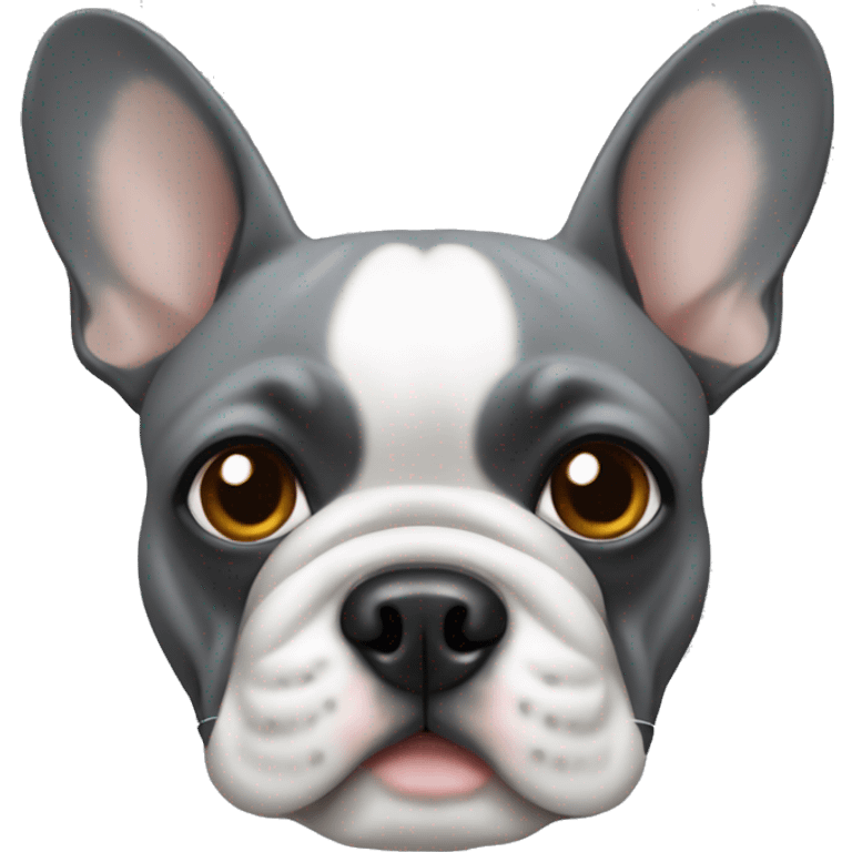 Gray french bulldog emoji