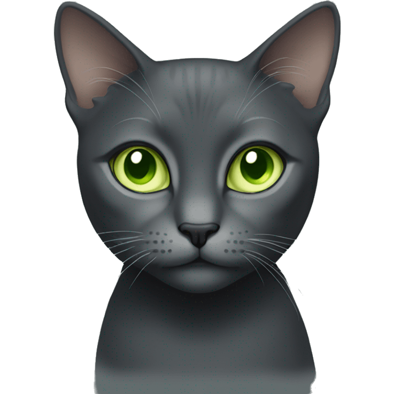 Dark grey female cat with light green eyes emoji