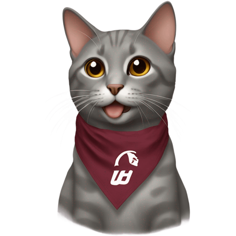 cat with virginia tech bandana  emoji