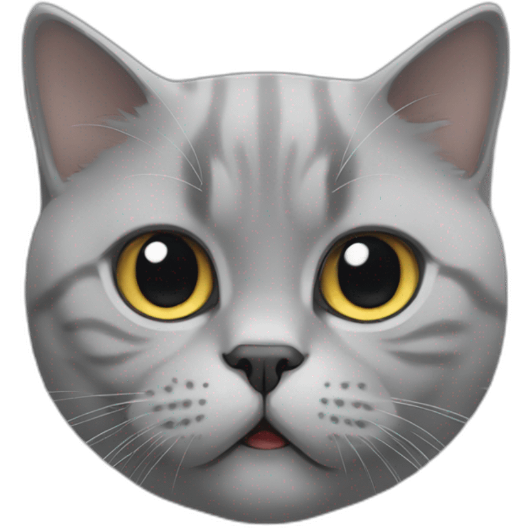 Hungry British shorthair cat face emoji