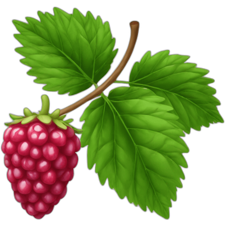 framboise  emoji