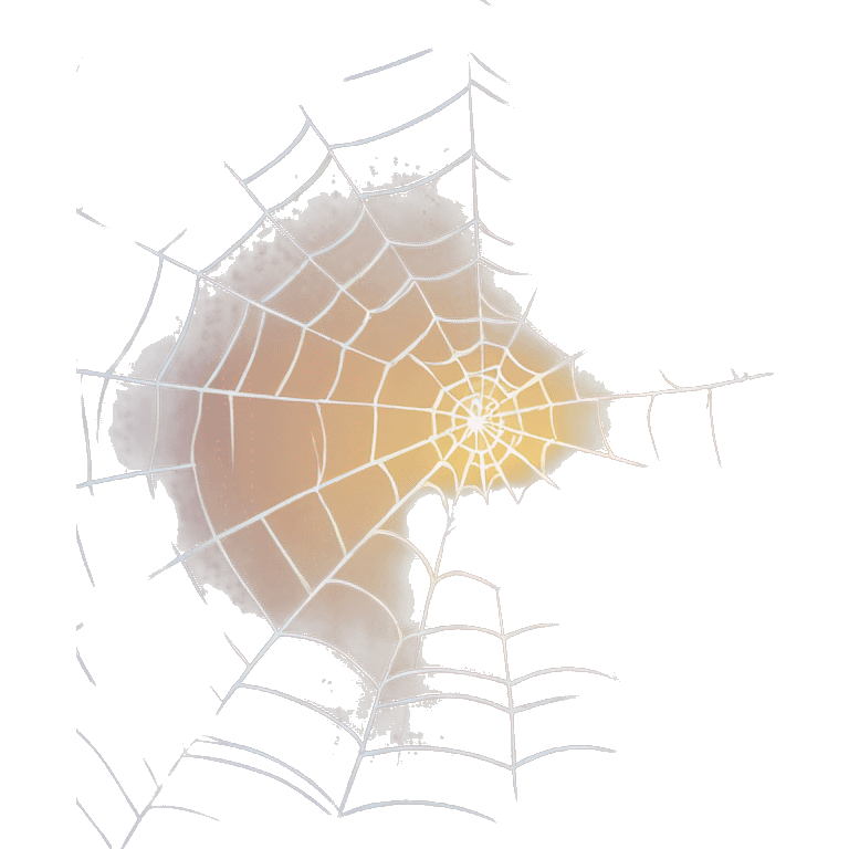 spiderweb emoji