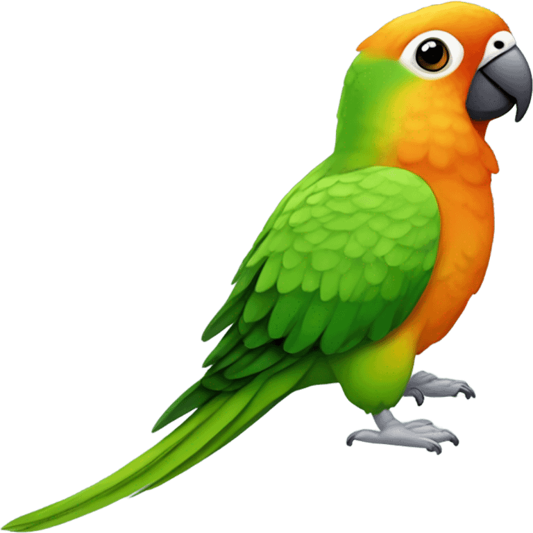 Happy green cheek conure emoji