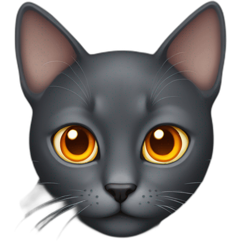 dark grey cat orange eyes emoji