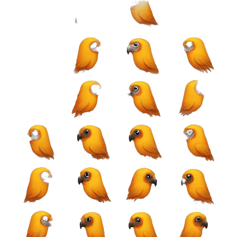 sun conure emoji