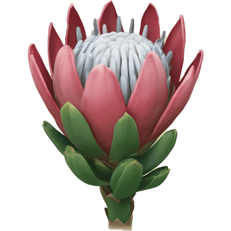 Protea emoji