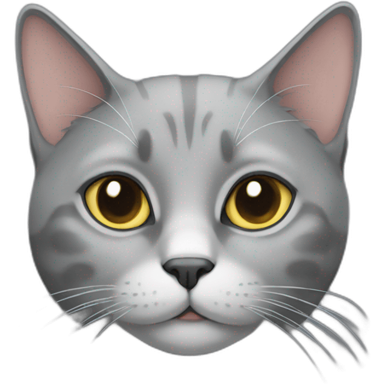 grey cat emoji