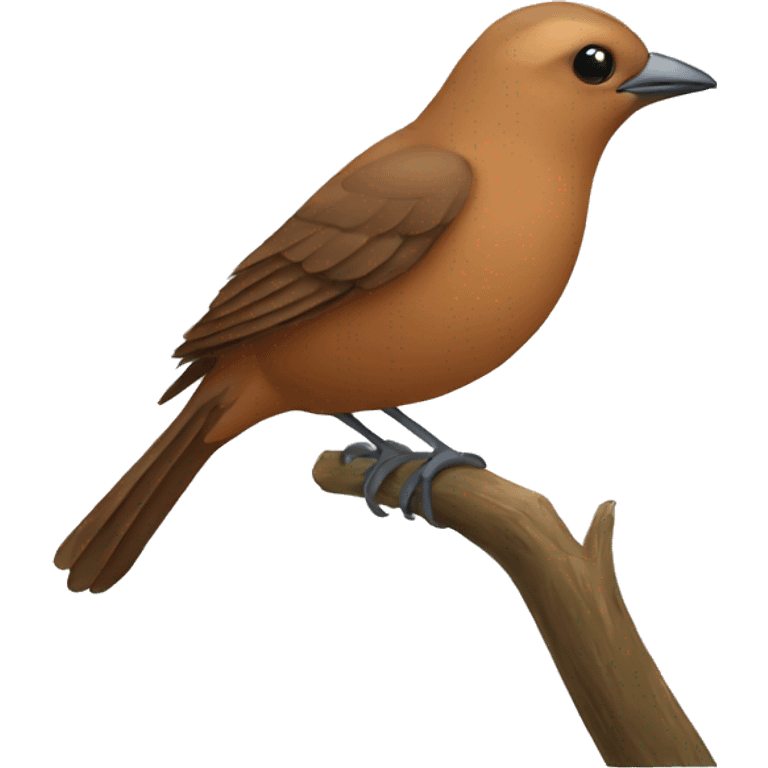 Brown bird emoji