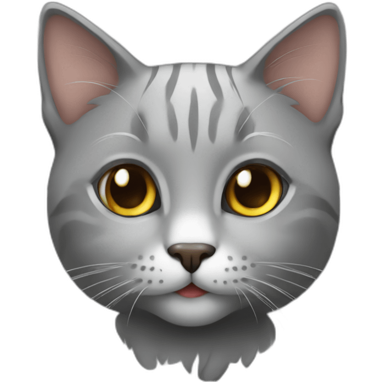 cat gray cute emoji