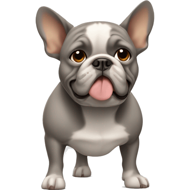 Grey and tan French bull dog with tan eyebrows missing right front leg  emoji