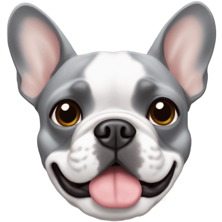 Grey french bulldog with brown eyebrows  emoji