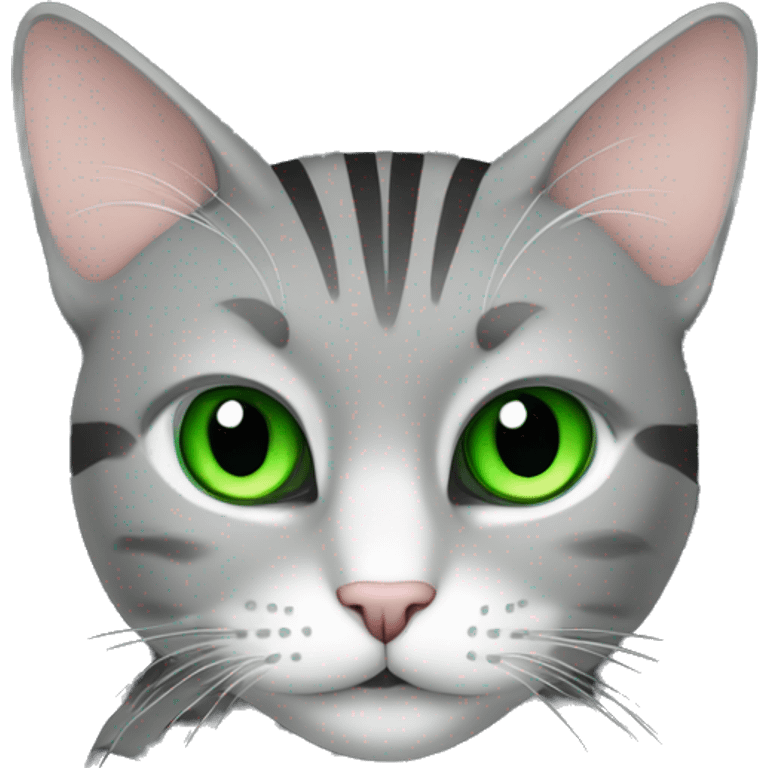 A striped grey cat with green eyes is lying on the keyboard of the computer emoji