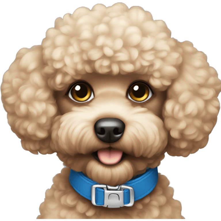 Toy poodle blue collar emoji