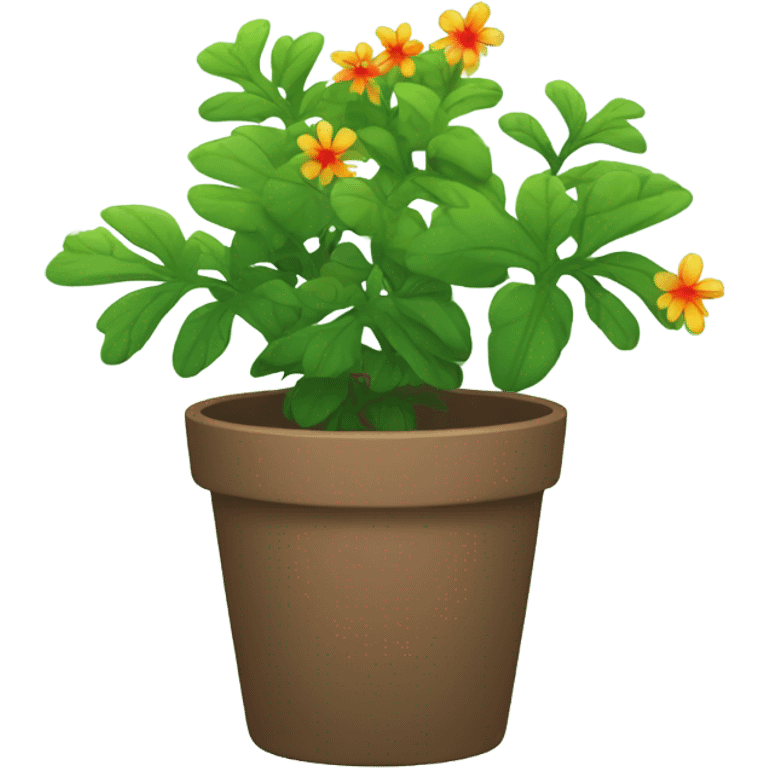 pot plant emoji