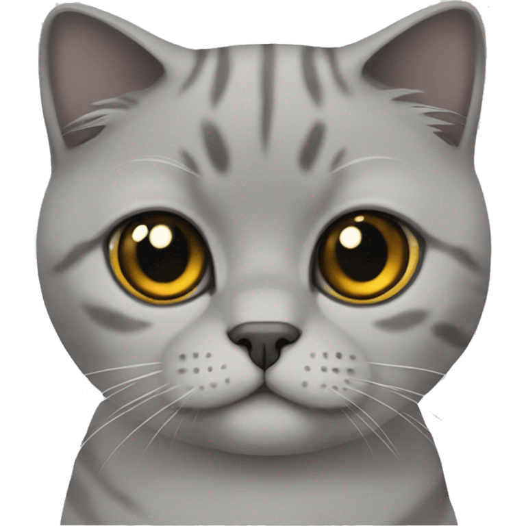 Scottish fold cat grey emoji