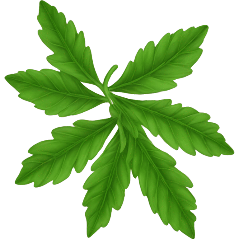 Medicinal leaf emoji