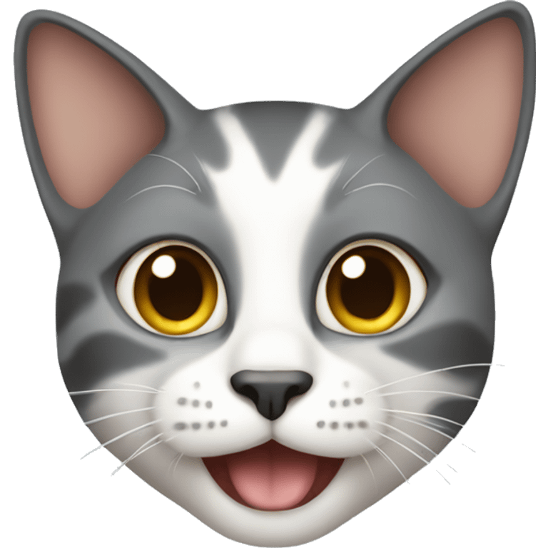 cat in china  emoji