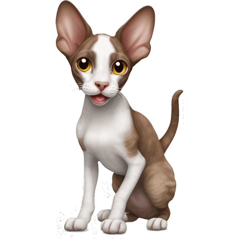 Brown snd white cornish rex waving  emoji