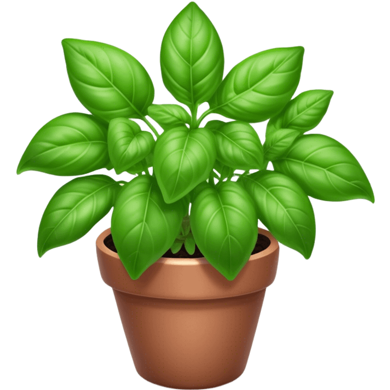 Cinematic Realistic Basil Emoji, Lush and fragrant, with vibrant green leaves that release a fresh, herbal aroma. The soft, glossy leaves are delicately arranged along slender stems, exuding vitality and flavor. Soft glowing outline, capturing the essence of freshness, growth, and aromatic delight in a blossoming basil plant! emoji