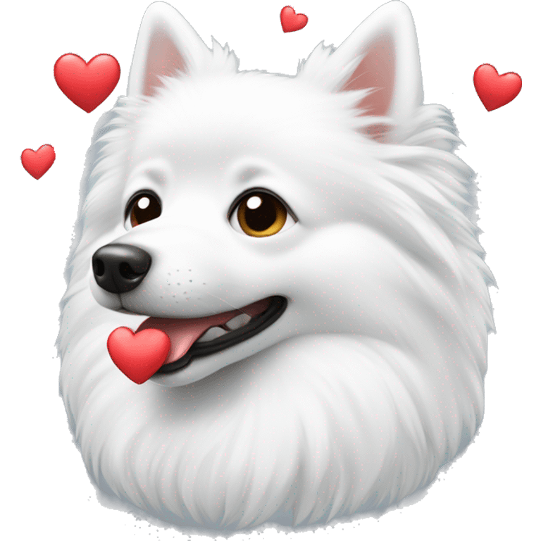 white spitz showing heart emoji