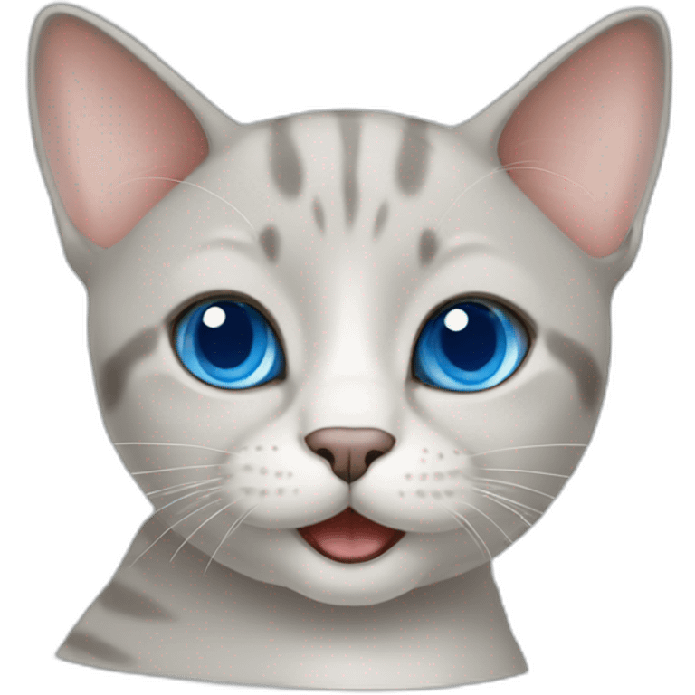 british short-hair cat with blue eyes thumbs up emoji